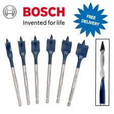 Bosch Expert Flat Wood Drill